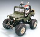 RC Wild Willy 2000